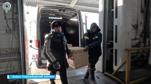 НОВОСТИ УТРА – 01 апреля 2026