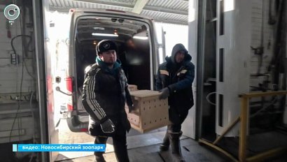 НОВОСТИ УТРА – 01 апреля 2026