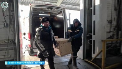 НОВОСТИ УТРА – 01 апреля 2026