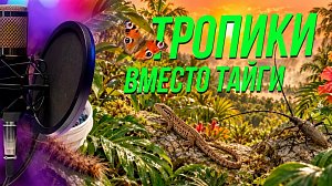 Как аномальная жара изменила Новосибирск? | Подкаст на ОТС — 17 сентября