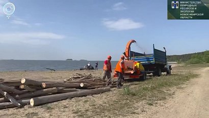 Берег добрых дел: волонтёры очистили пляж Новосибирского водохранилища