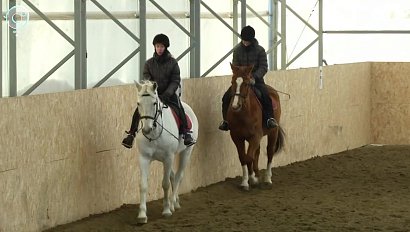 Новосибирцы привезли "бронзу" с чемпионата России по адаптивному конному спорту