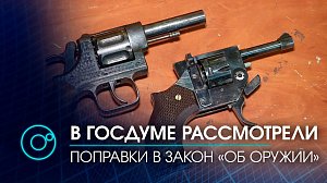 В Госдуме рассмотрели внесение поправок в федеральный закон "Об оружии"
