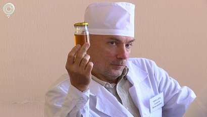 Лучший мёд России выбирают на чемпионате в Новосибирске