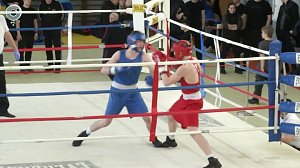 В Пашино завершился чемпионат Новосибирской области по боксу