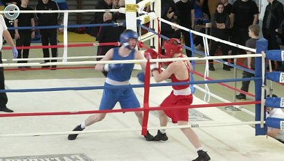 В Пашино завершился чемпионат Новосибирской области по боксу