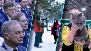 Программа "Итоги недели" | 17 января 2026 | Телеканал ОТС