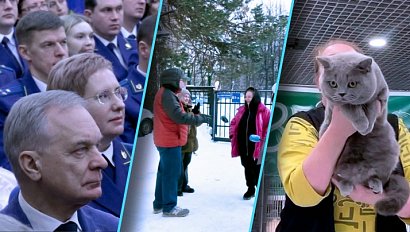 Программа "Итоги недели" | 17 января 2026 | Телеканал ОТС