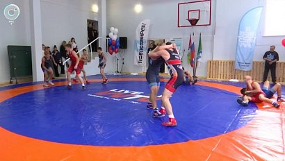 Открытый урок по греко-римской борьбе прошёл в новосибирской гимназии