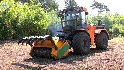 Энергетики расчистили более 220 гектаров трасс линий электропередачи