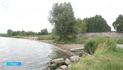 Снос парка "Ремикс" в Бердске оставил жителей без места отдыха
