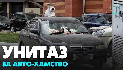 Унитаз установили на автомобиль возле мусорных баков в Новосибирске