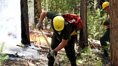 800 лесных пожаров потушили в России за минувшую неделю