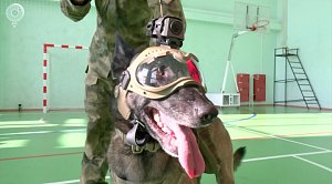 НОВОСТИ в 18:30 – 20 февраля 2026