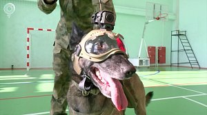 НОВОСТИ в 18:30 – 20 февраля 2026