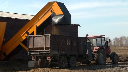 К заготовке кормов приступили в двадцати районах Новосибирской области