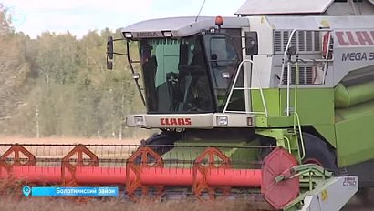 Аграрии Болотнинского района побили собственный рекорд по сбору урожая
