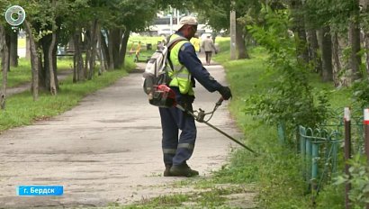 Городские службы Бердска очищают улицы и парки