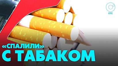19-летним новосибирцам грозит шесть лет колонии за незаконный оборот табачной продукции