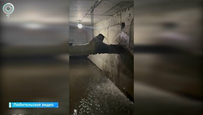 Жители Бердска страдают от зловонных потопов в доме