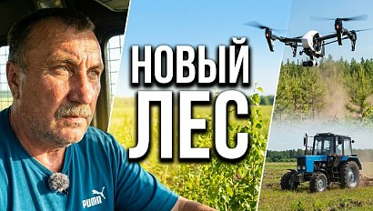 Лесники Новосибирской области ускоряют обработку посадок