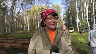 Кедровый орех сегодня, лес завтра: как выращивают сибирские сосны