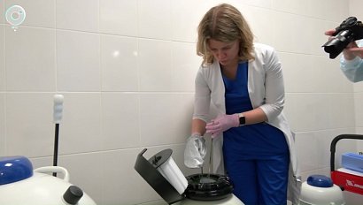 Более 50 семей в Новосибирской области выбрали хранение эмбрионов