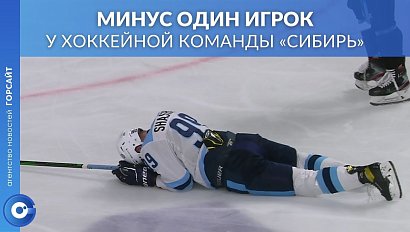 ХК «Сибирь» лишилась ещё одного игрока перед стартом сезона