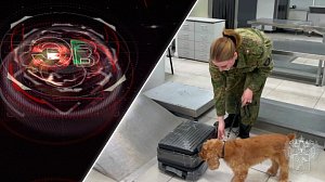 Экстренный вызов | 28 октября 2026 | Происшествия Новосибирской области | Телеканал ОТС