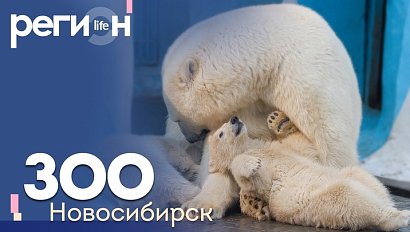 Регион LIFE | ЗОО Новосибирск | ОТС LIVE — прямая трансляция