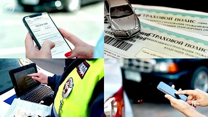 Рубрика "Самое время"