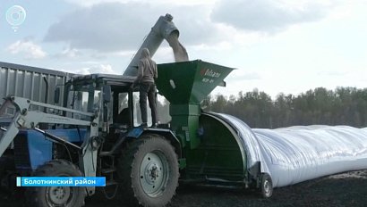 Уборочная кампания в разгаре: аграрии завершают сбор урожая