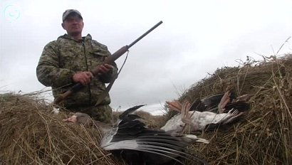 Сроки весенней охоты назвали в Новосибирской области