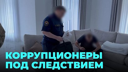 Взятка при получении госконтракта привела к уголовному делу против двоих директоров