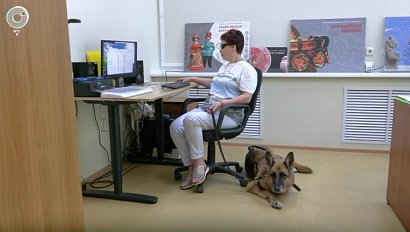 Библиотека для незрячих в Новосибирске привлекла больше читателей