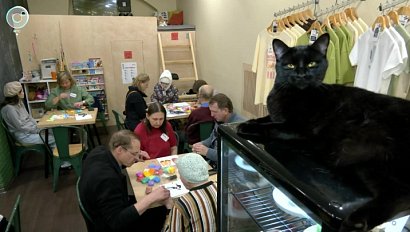 Котокафе в Новосибирске помогает людям с деменцией почувствовать себя лучше
