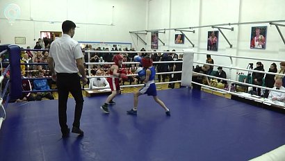 Традиционный юношеский турнир по боксу памяти Николая Аксёненко прошёл в Мошково