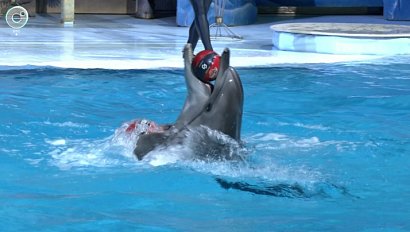 Мечта девочки из Новосибирской области стала реальностью