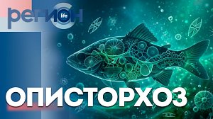 Описторхоз | ОТС LIVE — прямая трансляция