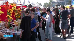 265 производителей представили товары на ярмарке в Бердске