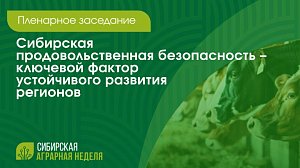 Пленарное заседание «Сибирская продовольственная безопасность» | ОТС LIVE — прямая трансляция