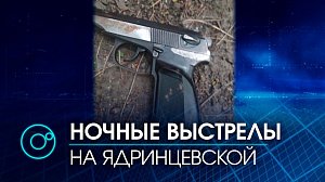 Ночных стрелков задержали сотрудники ДПС в Новосибирске