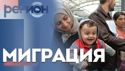Регион LIFE | Миграция | ОТС LIVE — прямая трансляция