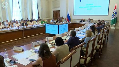 Состоялось первое заседание Общественного экологического совета при губернаторе Новосибирской области