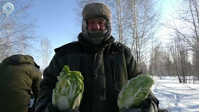 НОВОСТИ в 20:30 – 28 января 2026