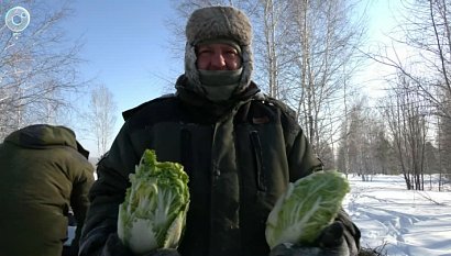 НОВОСТИ в 20:30 – 28 января 2026