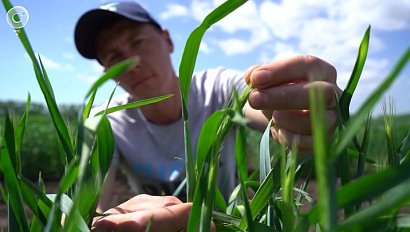 Климатические изменения ставят задачи перед российскими генетиками