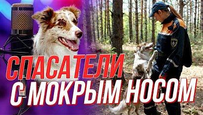 Собаки, которые спасают жизни | Подкаст на ОТС — 11 марта