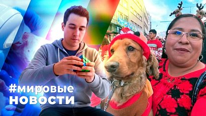 МИРОВЫЕ НОВОСТИ – 24 декабря 2025