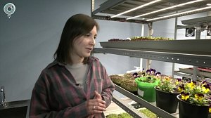 НОВОСТИ УТРА – 22 октября 2025